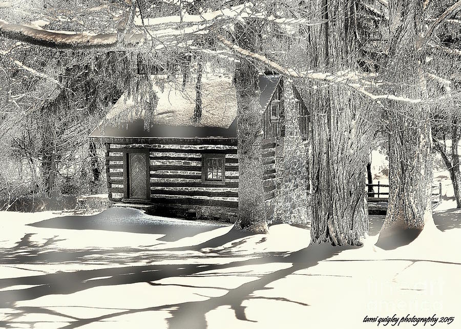 Snowtime At The Springhouse Photograph by Tami Quigley