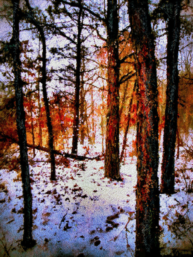 Snowy Autumn Mixed Media by Natalie Holland