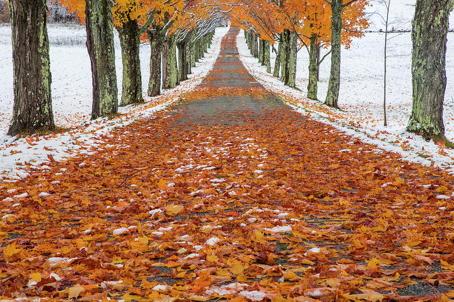 Snowy Autumn Road Photograph by White Mountain Images