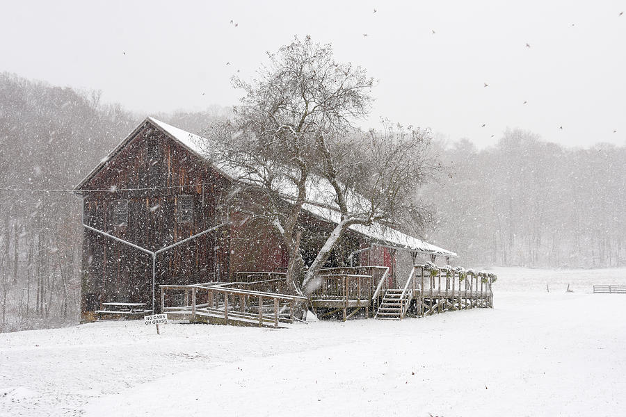 Snowy Barn Photograph by Ann Bridges
