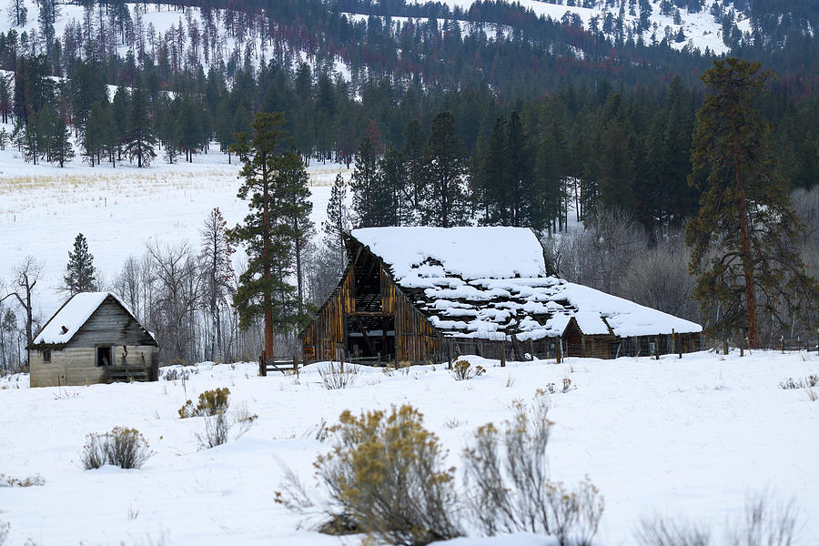 Snowy Barn In The Wenas Valley Photograph