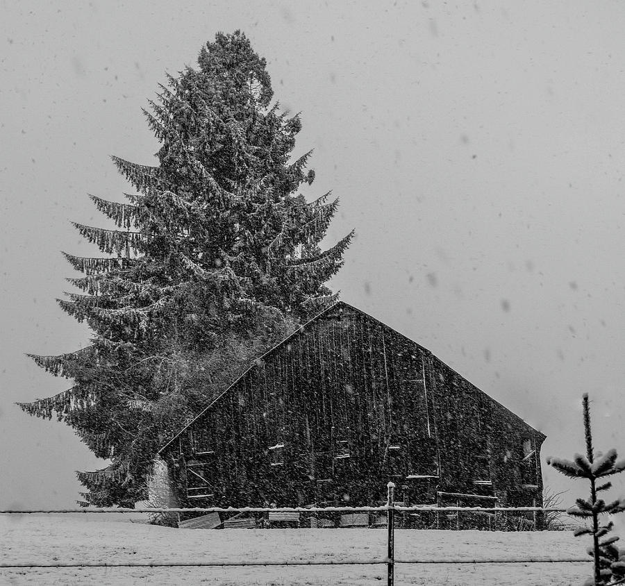 Snowy Barn Photograph by Peggy McCormick