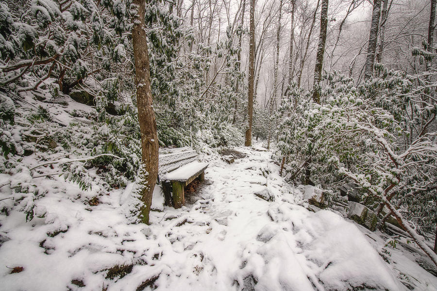 Snowy Bench Photograph by Robert J Wagner