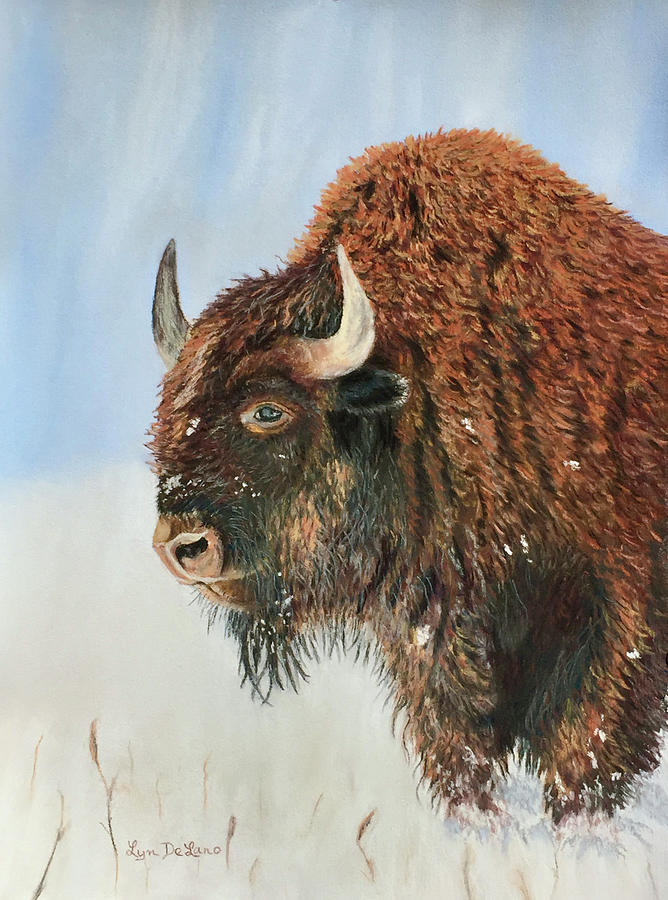 Snowy Buffalo Pastel by Lyn DeLano