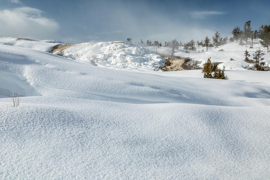 Snowy Buildup Photograph by Ann Skelton