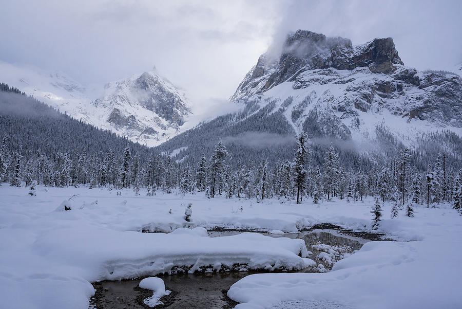 Snowy Canadian Landscape Photograph by Serge Skiba