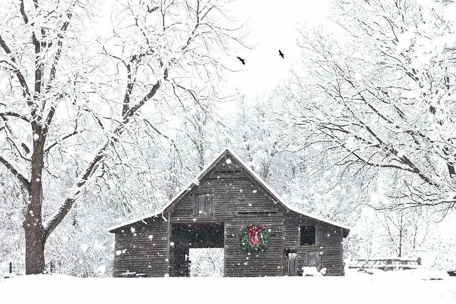 Snowy Christmas Barn Photograph by Benanne Stiens
