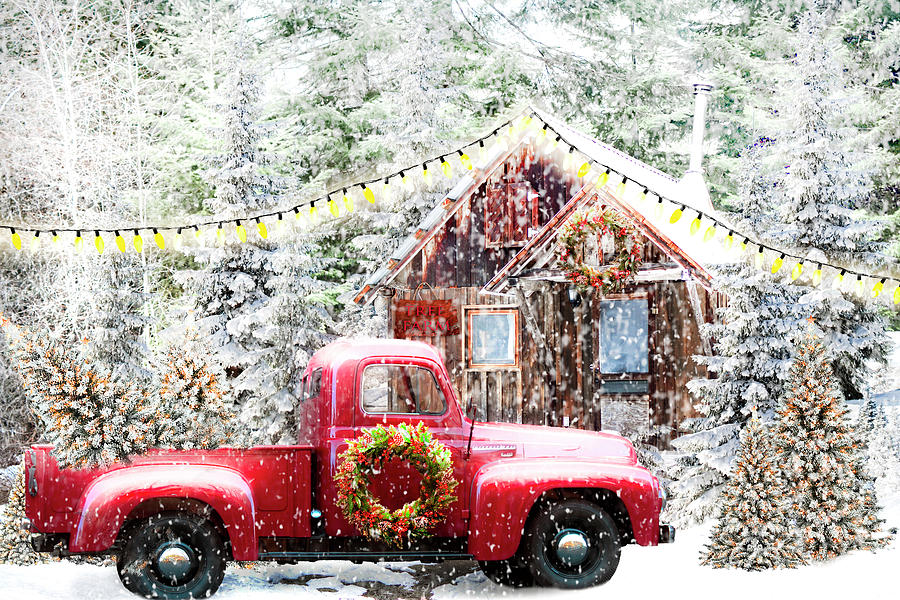Snowy Christmas Tree Farm Photograph by Debra and Dave Vanderlaan