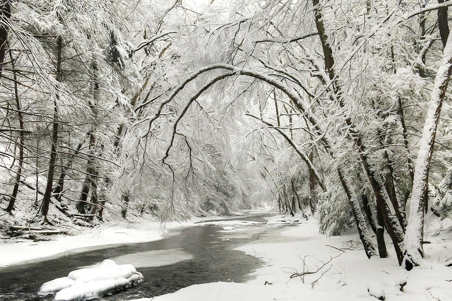 Snowy Clarks Creek Photograph by Lori Deiter
