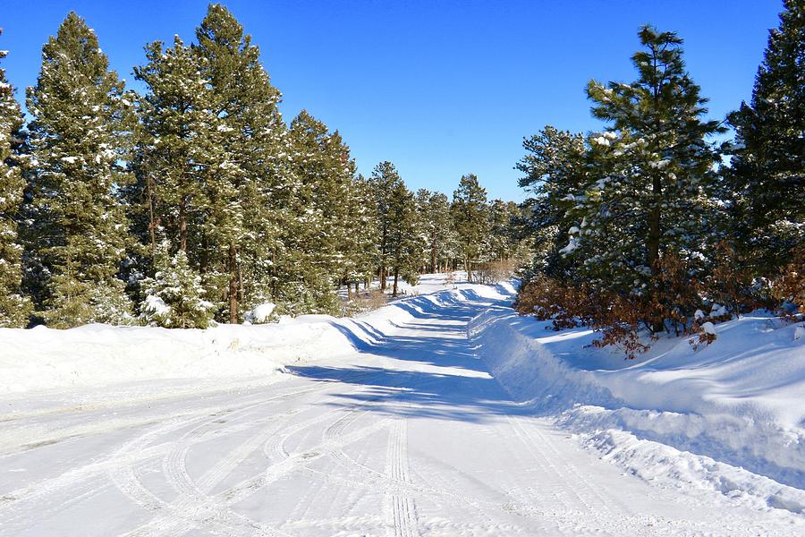 Snowy Colorado Road Photograph by Denise Mazzocco - Fine Art America