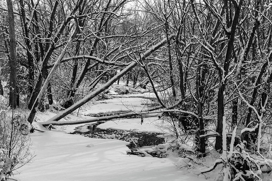 Snowy Colorado St Vrain River Photograph by James BO Insogna