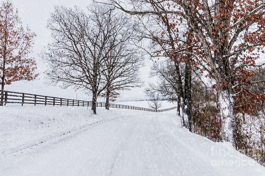 Snowy Country Drive Photograph by Jennifer White