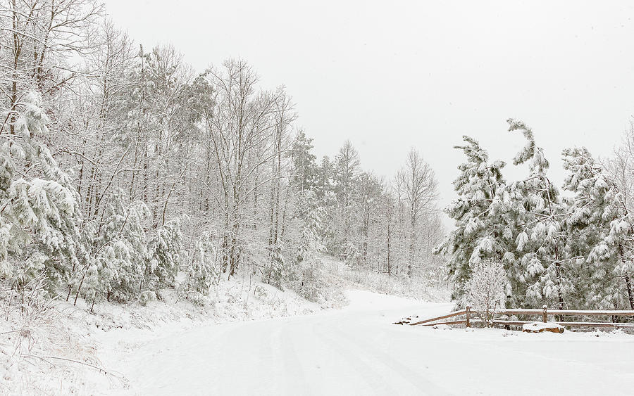 Snowy Country Road Photograph by Joni Eskridge