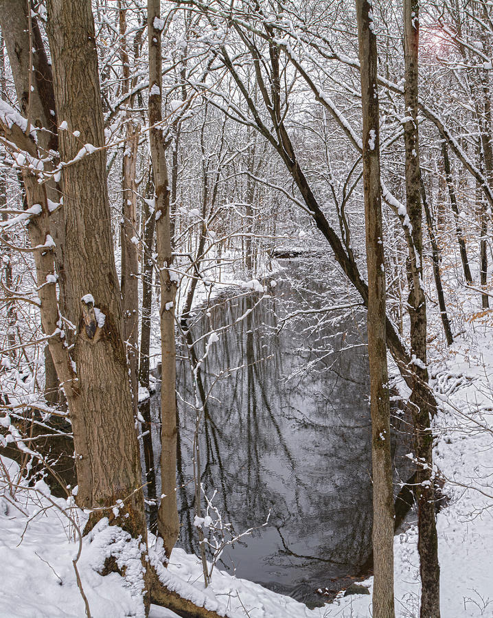 Snowy Creek Photograph by Angelo Marcialis