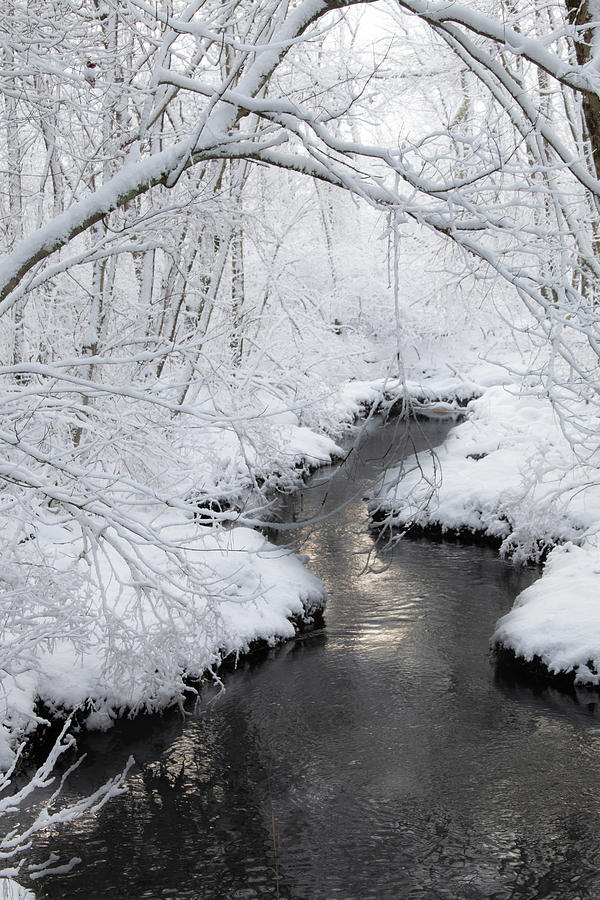 Snowy Creek In The Barrens Photograph by Kristia Adams
