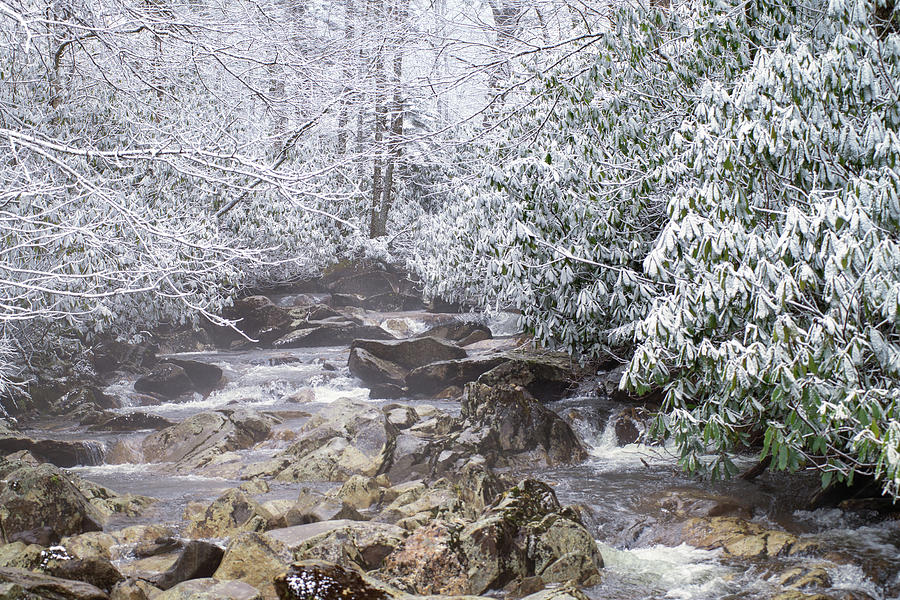 Snowy Creek Photograph by Stacy Abbott