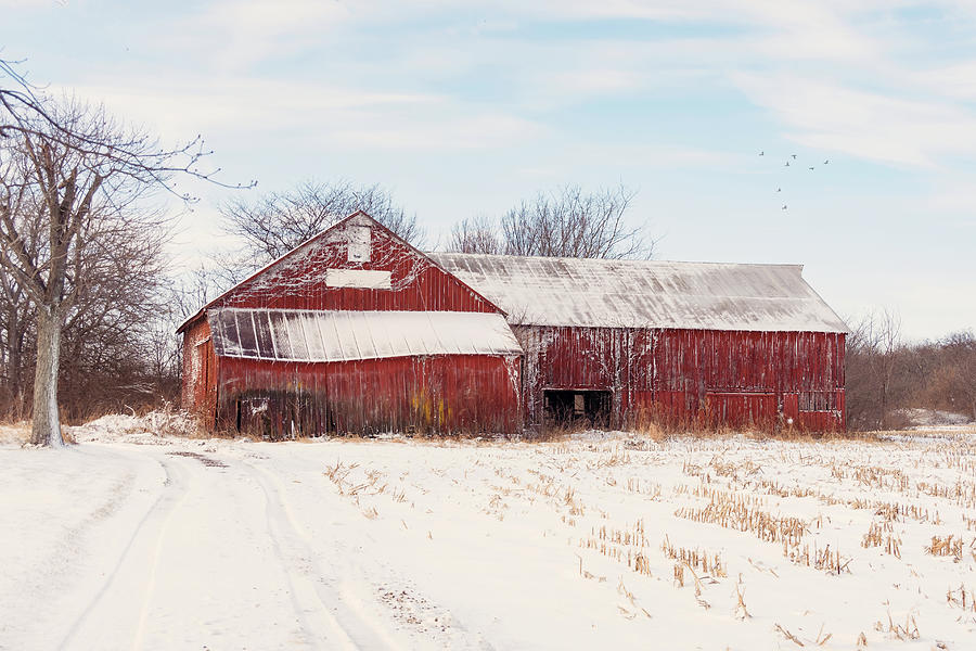 Snowy Day And Red Barn Photograph By Straublund Photography Pixels