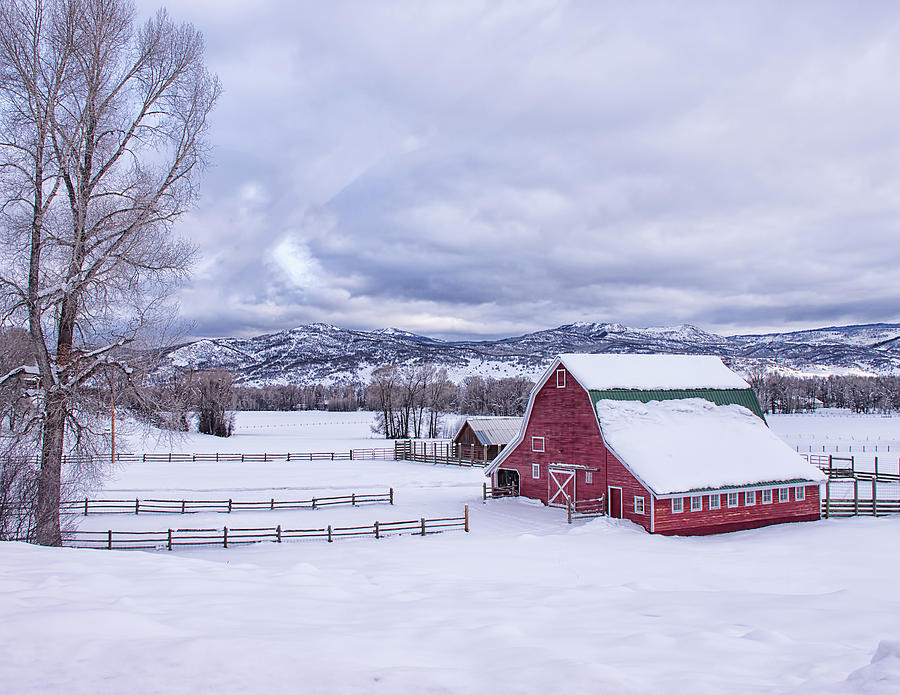 Snowy Day at the Red Barn Photograph by Kristal Kraft