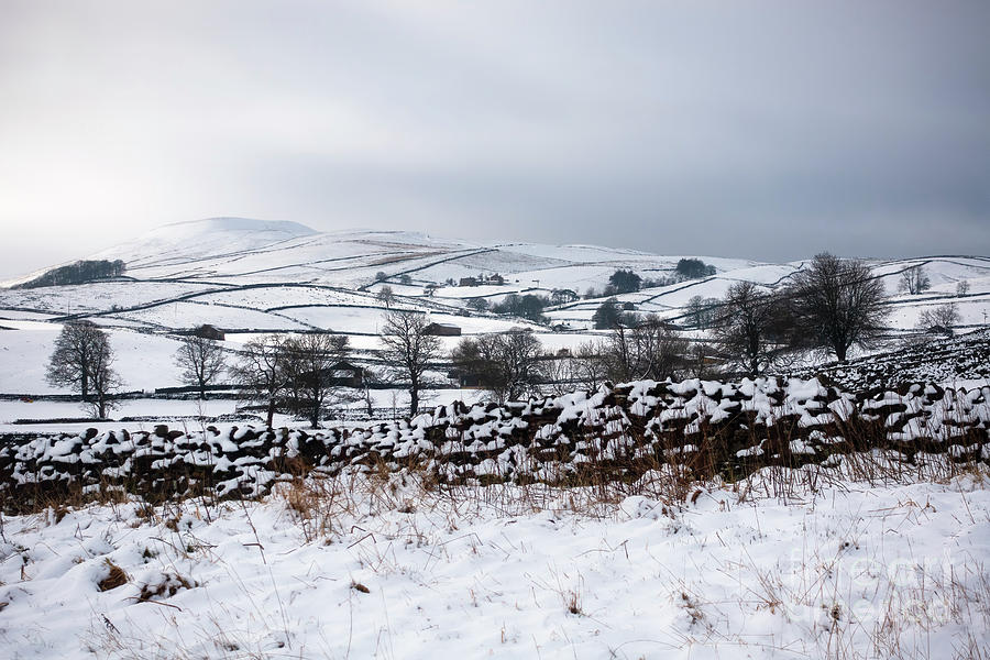 Snowy day in Wensleydale, Yorkshire Dales Photograph by Louise Heusinkveld