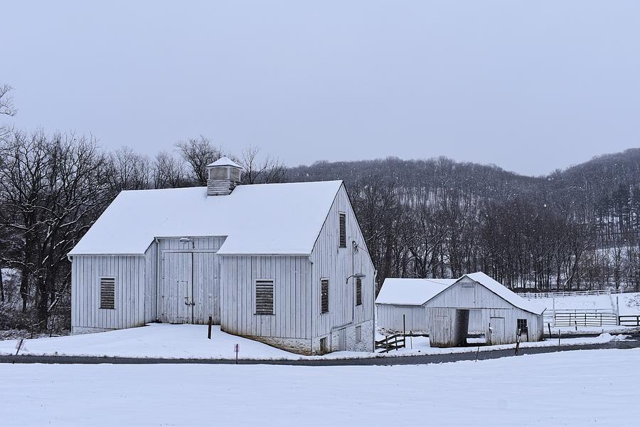 Snowy Day On The Farm Photograph