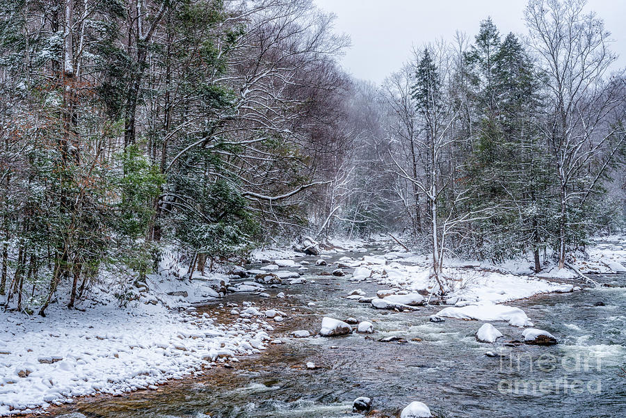 Snowy Day on Williams River Photograph by Thomas R Fletcher