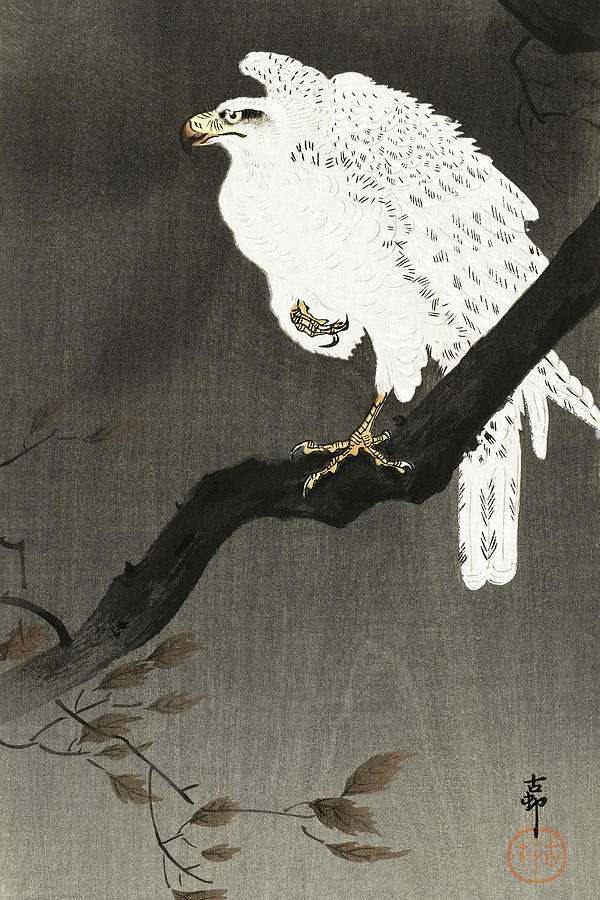 Snowy eagle on a tree branch Painting by Ohara Koson - Fine Art America