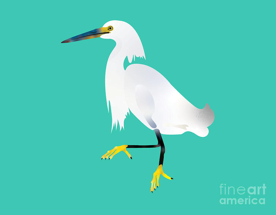 Snowy Egret, Bird, Illustration,  Digital Art by David Millenheft