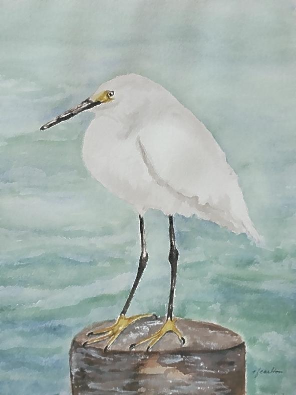 Snowy Egret Painting by Claudette Carlton
