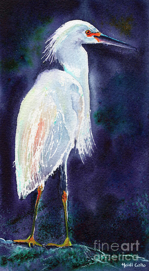 Snowy Egret Painting by Heidi Gallo