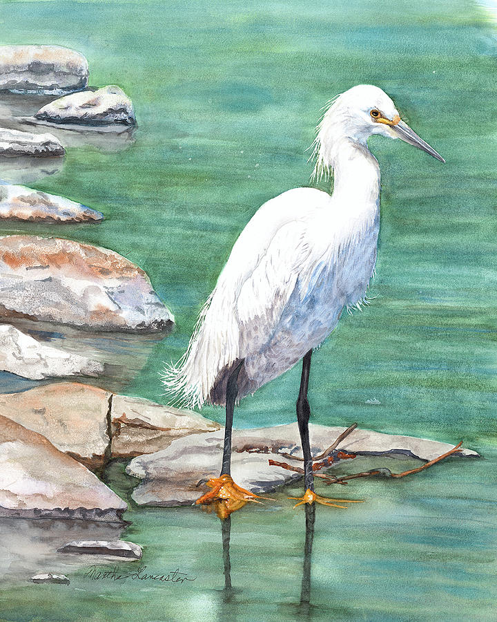 Snowy Egret Painting by Martha Lancaster