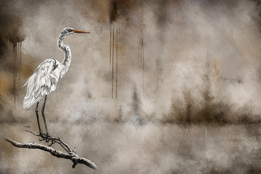 Snowy Egret on a Branch Digital Art by Shawn Conn