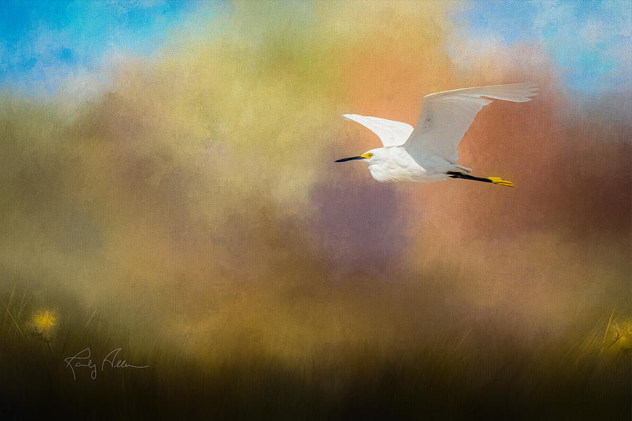 Snowy Egret Digital Art by Randall Allen