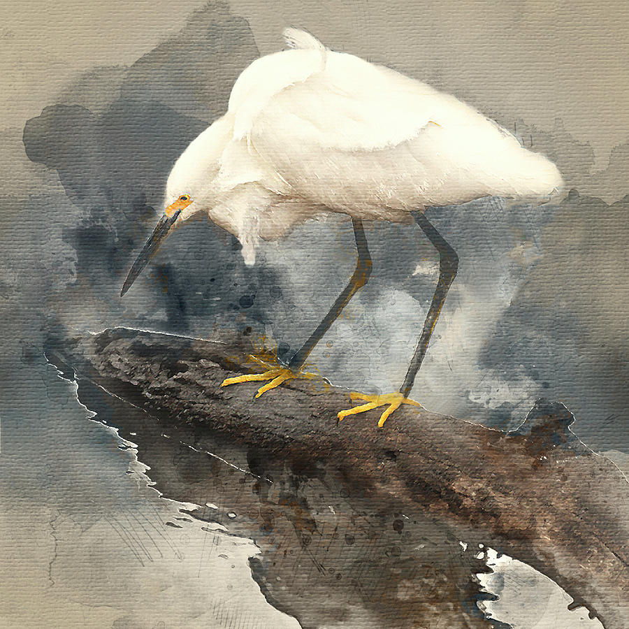 Snowy Egret Watercolor Photograph by Gordon Ripley