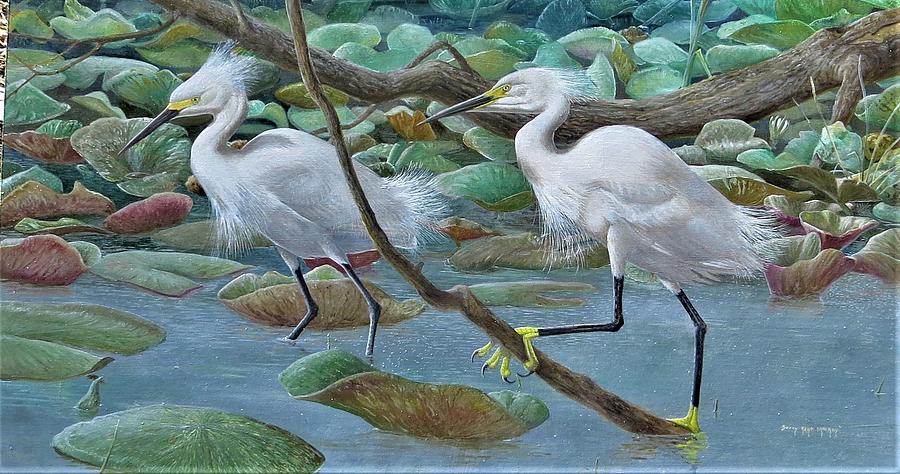 Snowy Egrets Painting by Barry Kent MacKay - Fine Art America