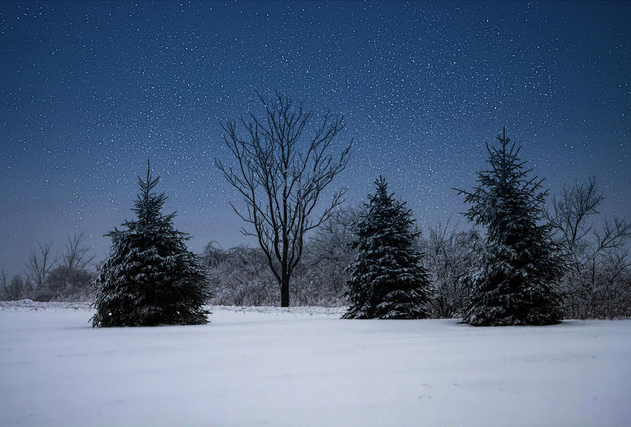 Snowy Evening Photograph