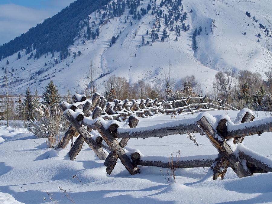 Snowy Fenceline Photograph by Denise Benson