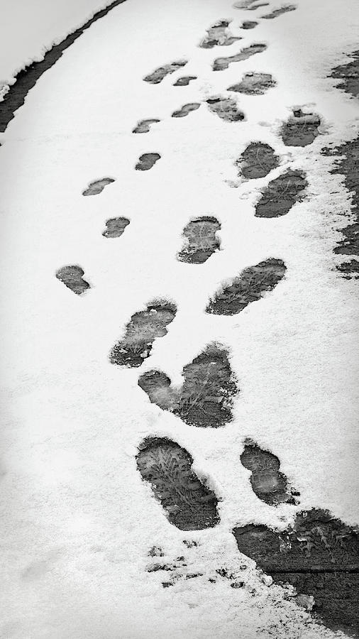 Snowy footprints Photograph by Bob McDonnell