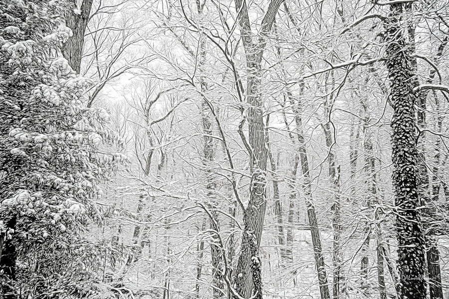 Snowy Forest Digital Art by Dennis Lundell