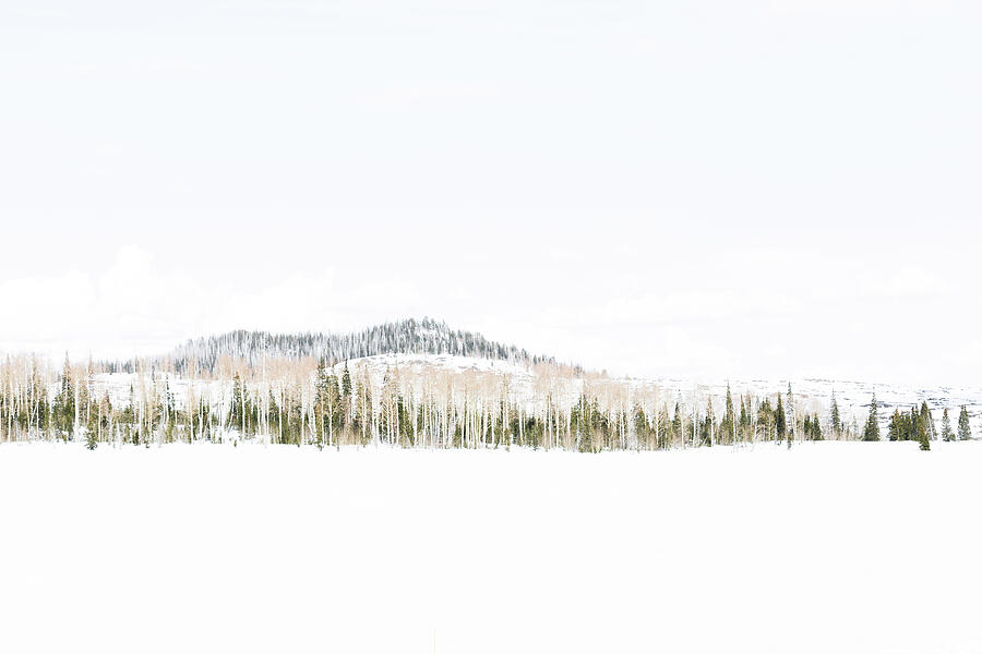 Snowy Landscape Photograph by Katie Dobies Snowy Landscape Photograph by Katie Dobies
