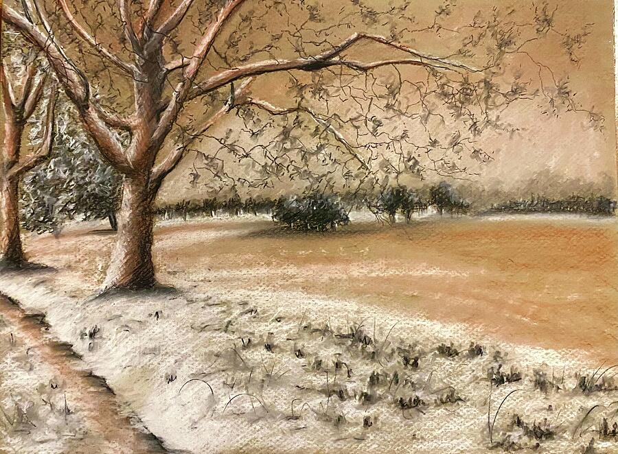 Tree Drawing - Snowy landscape  by Sharron Knight