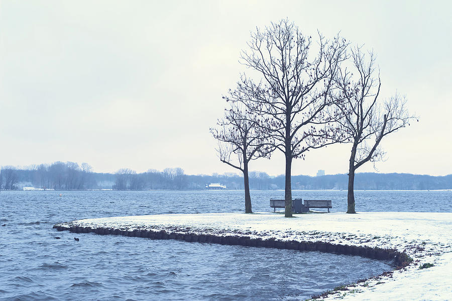 Snowy landscape with naked trees and a lake in Kralingse Plas Photograph by Philippe Lejeanvre