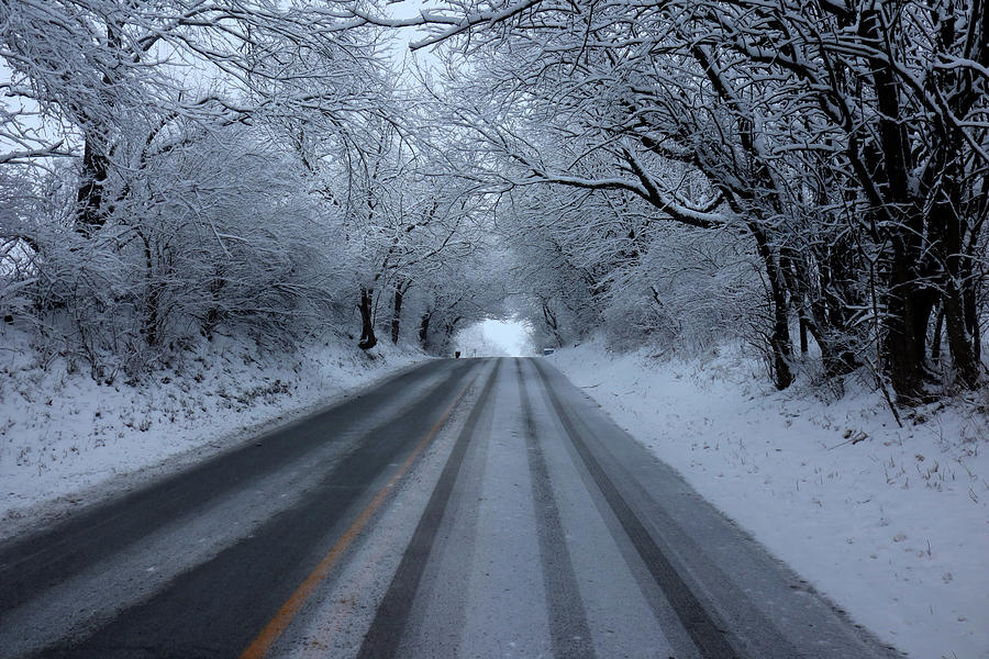 Snowy Lane Photograph