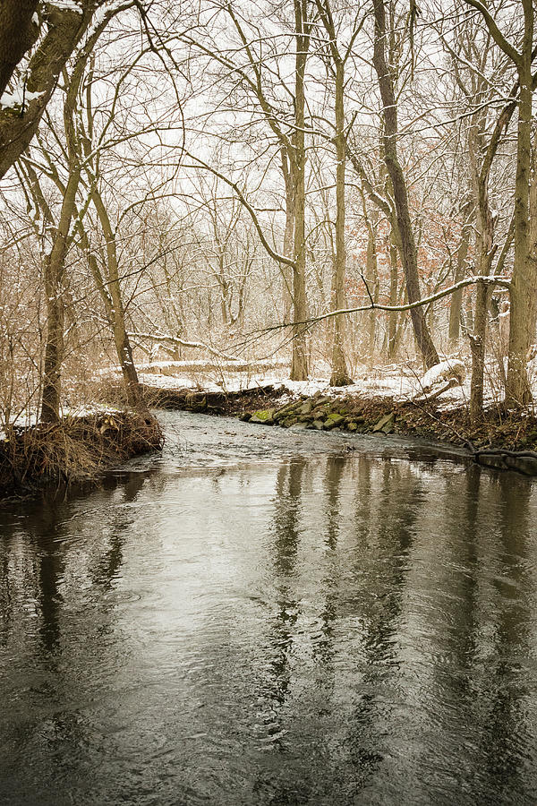Snowy Midwest Stream Portrait Photograph by Joni Eskridge