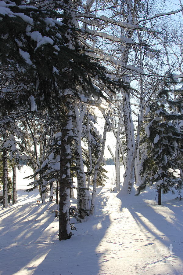 Lake Photograph - Snowy Morning At The Lake by Ann Brown Lake Photograph - Snowy Morning At The Lake by Ann Brown