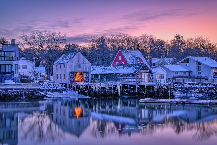 Snowy Morning in Cape Porpoise Photograph by Penny Polakoff