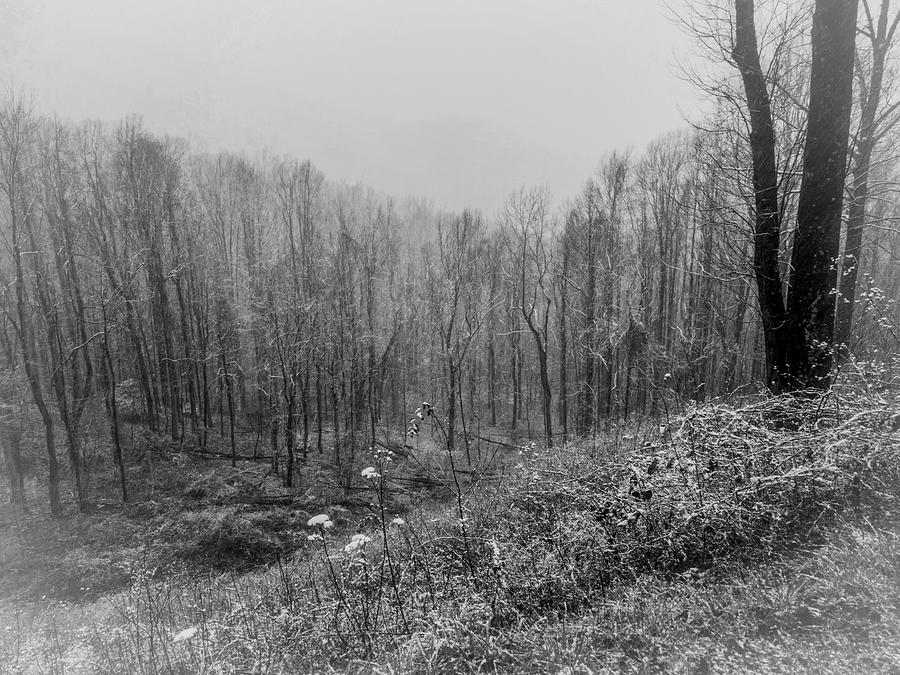 Snowy Morning in the Smokies Photograph by James C Richardson