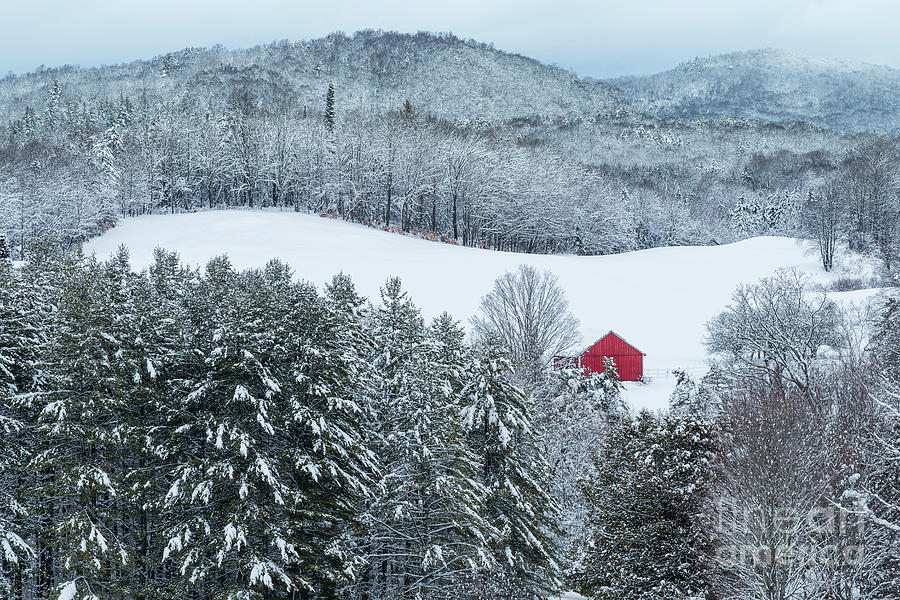 Snowy Morning Landscape Photograph by Alan L Graham