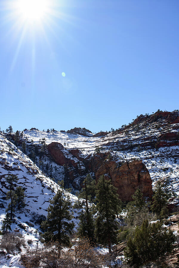 Snowy Mountain, Zion National Park Photograph by Thierry Lach Snowy Mountain, Zion National Park Photograph by Thierry Lach