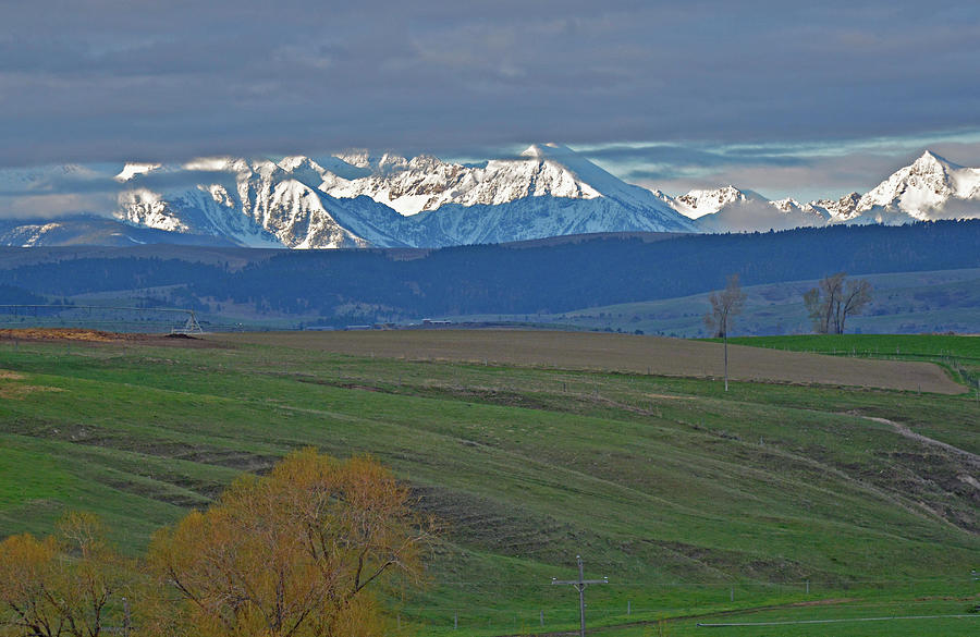 Snowy Mountains on a Montana Spring Day Photograph by Bruce Gourley