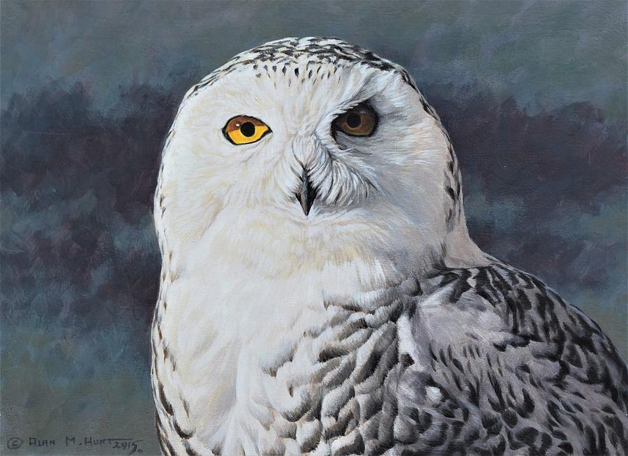 Snowy Owl Painting by Alan M Hunt